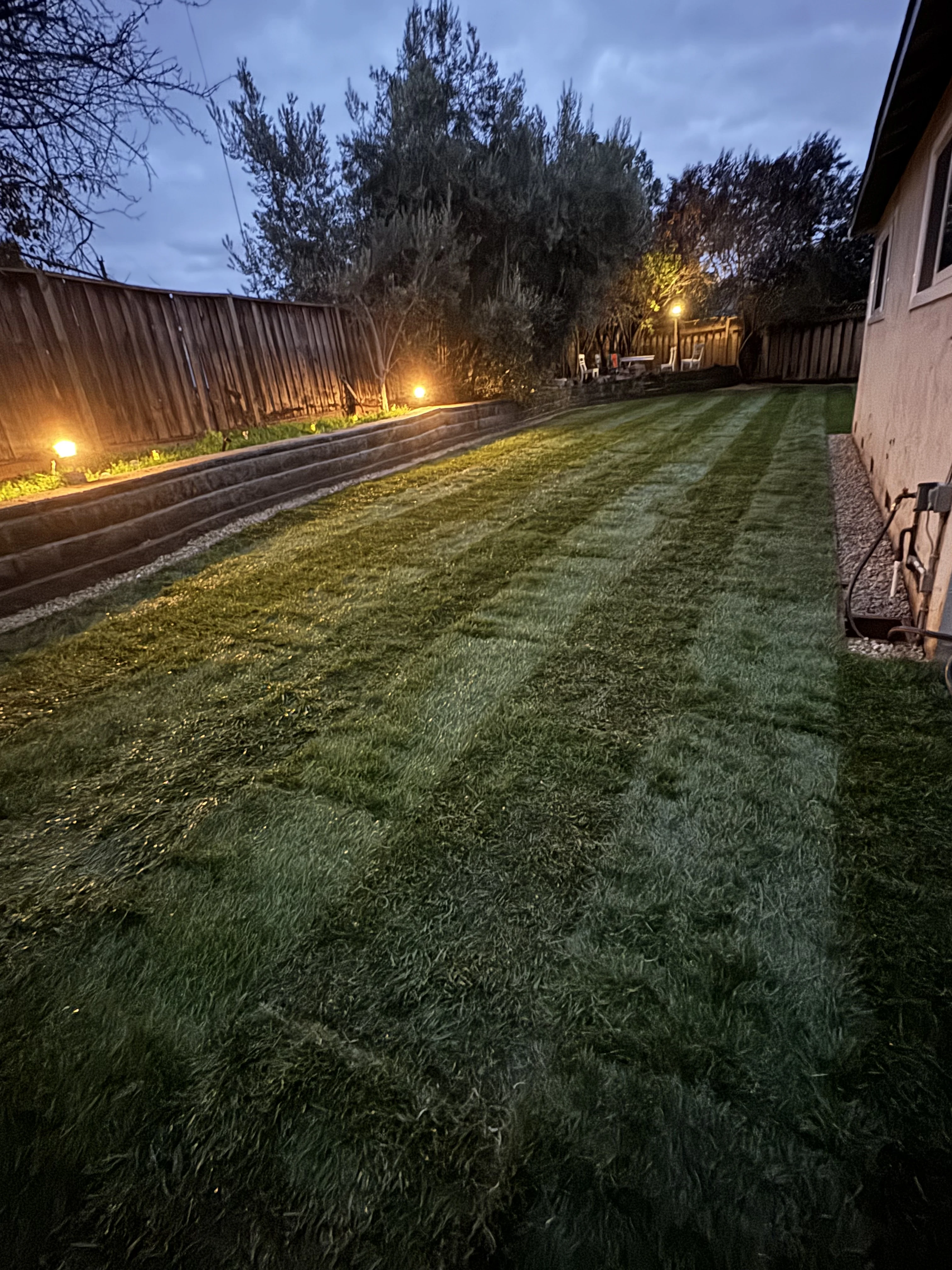 Large completed lawn and retaining wall with landscape lighting